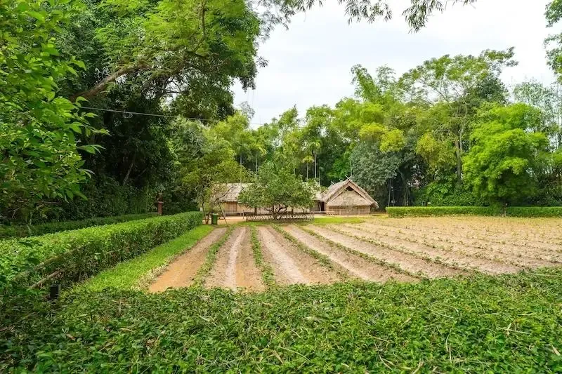 Làng Sen