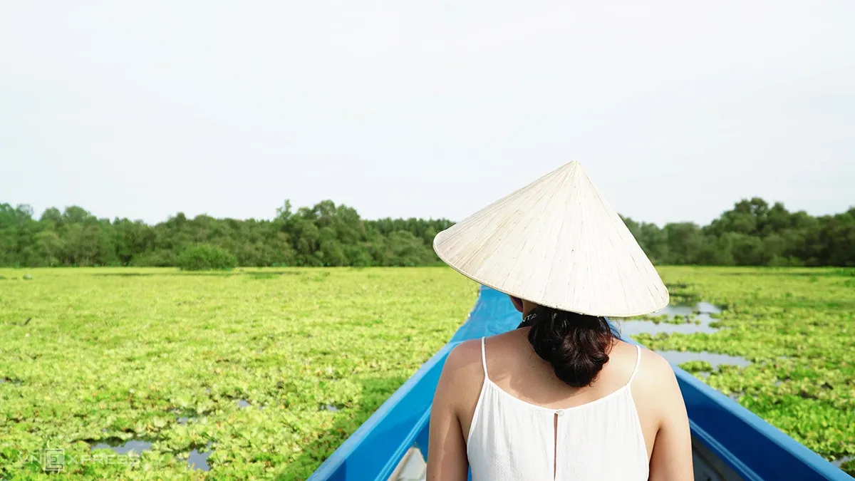 Rừng tràm Trà Sư